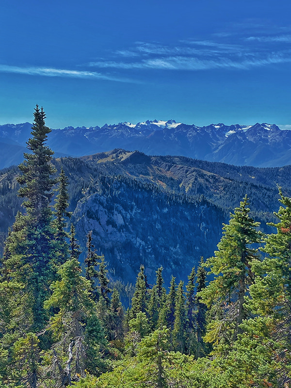 Hurricane Ridge on a sunny day by Lance Garland