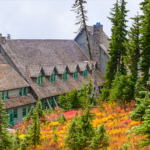 Paradise Inn in fall