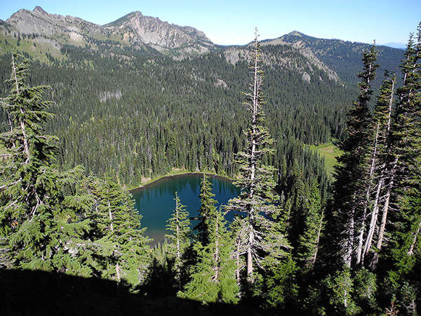 Sunrise Lake at Mount Rainier by the McNamees