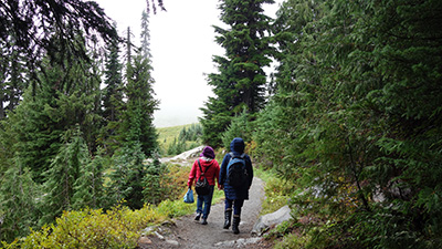 Casa Latina participants walking trails around Paradise