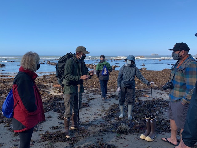 people on the beach in waders