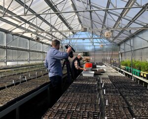 Mitch Pittman films a volunteer planting seedlings in the Albright Native Plant Nursery