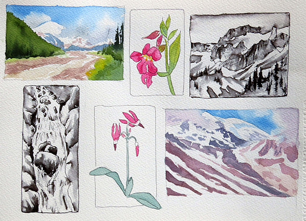 Glacier Basin sketches by Molly Hashimoto