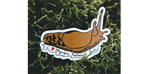 Banana Slug Sticker