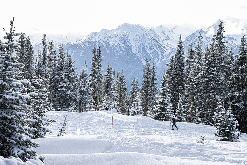 A snowshoer in Olympic National Park