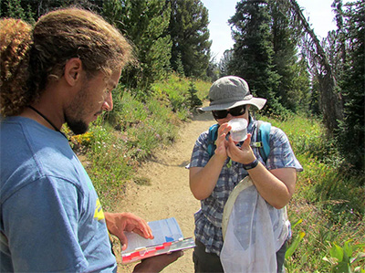 Cascades Butterfly Project volunteers examine a speciment