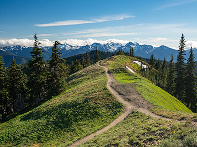 Views from the Klahhane Ridge Trail in Olympic National Park