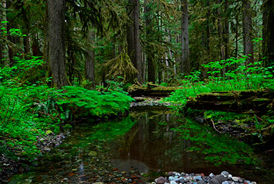 Summer in Washington's Parks: Tips to Get the Most from Your Trip ...