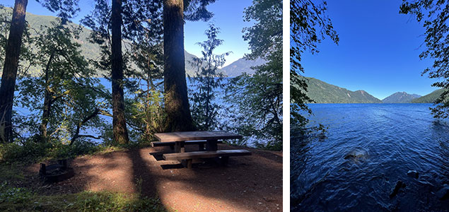 Picnic tables with a lakeside view