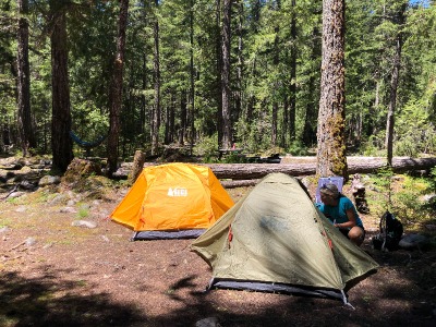 Two tents (one yellow and one green) set up in a campsite surrounded by trees.