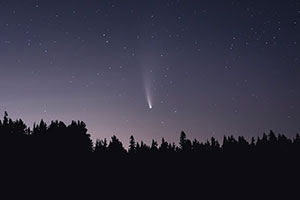 A shooting star is seen over tree tops