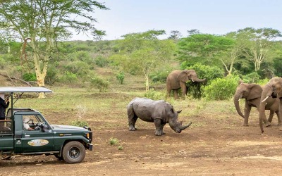 A safari truck parked next to a rhino and elephants.