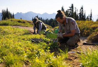 Two park employees sitting in a meadow planting and watering new plants.