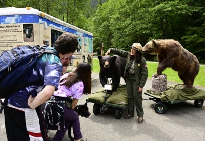 Image of a park ranger next to a lifesize model of a black bear. The ranger is speaking with three park visitors.