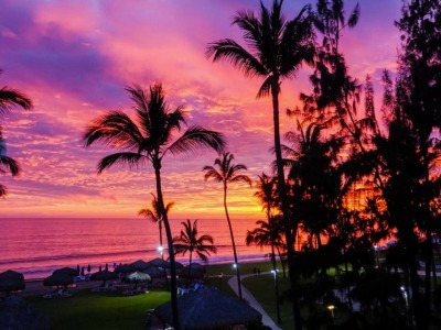 Purple and pink sunset colors with palm trees in the distance.