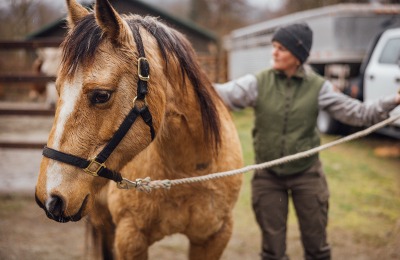 a woman standing next to a horse