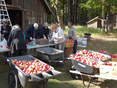 Six people at a table sorting through apples in wheel barrels.
