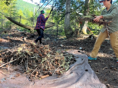 A person bringing sticks to a pile of branches on a tarp and a person raking in the background.