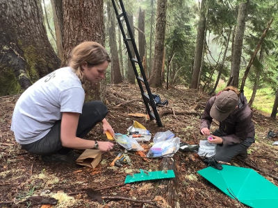 Two scientists sitting in the forest, with tree camera gear laid out on the ground.