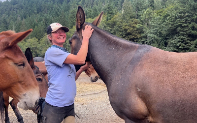 Heidi interacts with the mule team