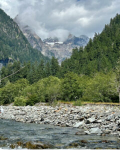 A view of mountains behind a forest and a river in the foreground. 