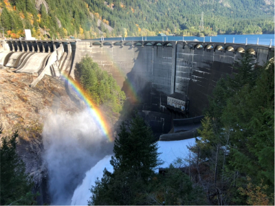 A photo of two rainbows shining into a lake dam with trees in front.