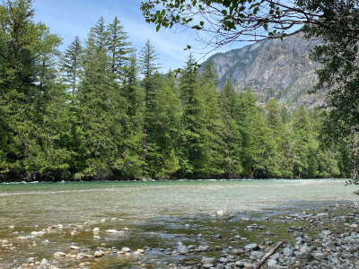 A view of a river with green trees lining the river.