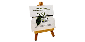 Robert Bank Glass pendant