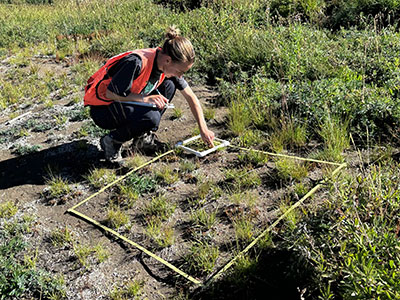 Data collection in the meadows